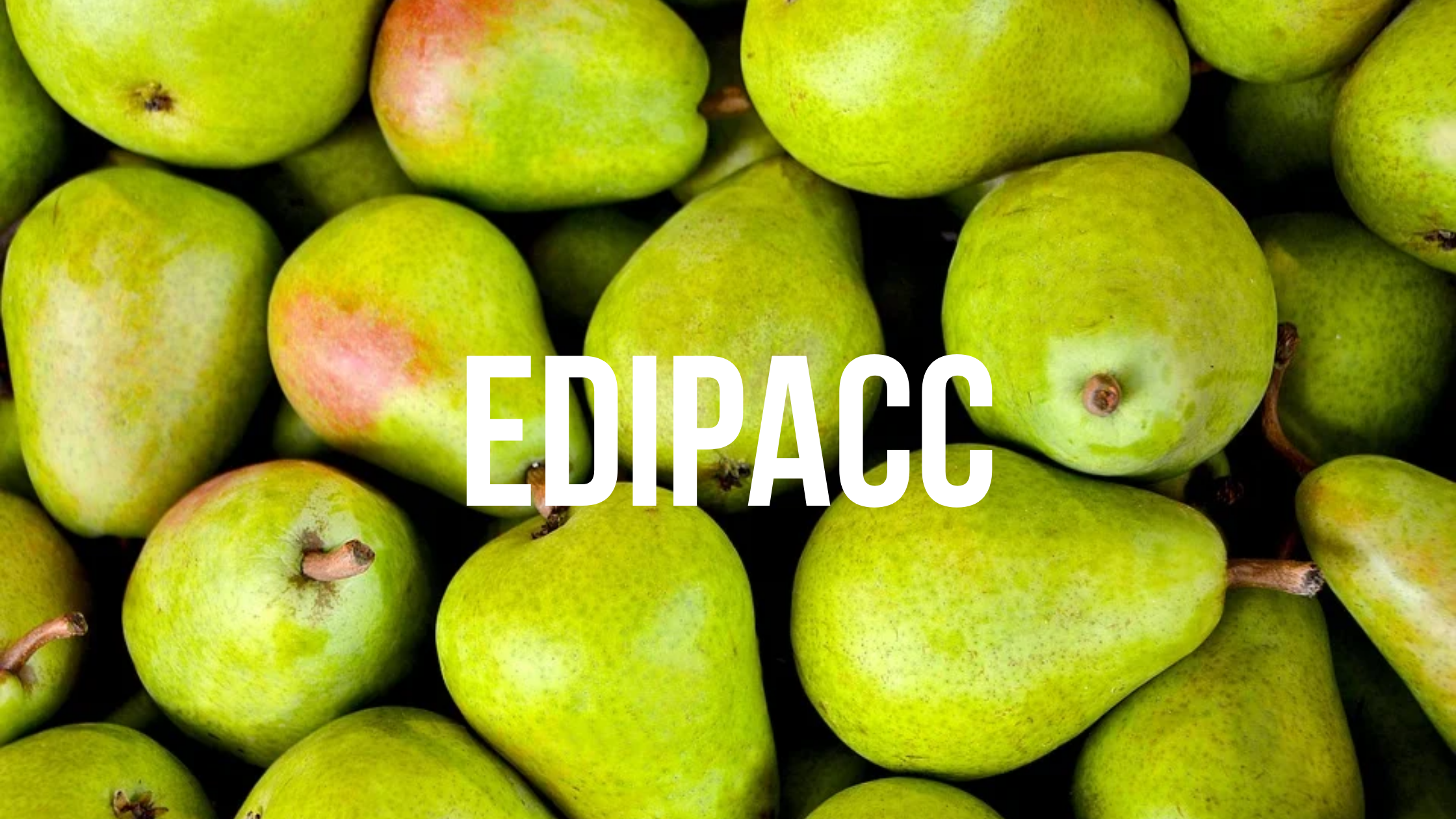 Proyecto EDIPACC